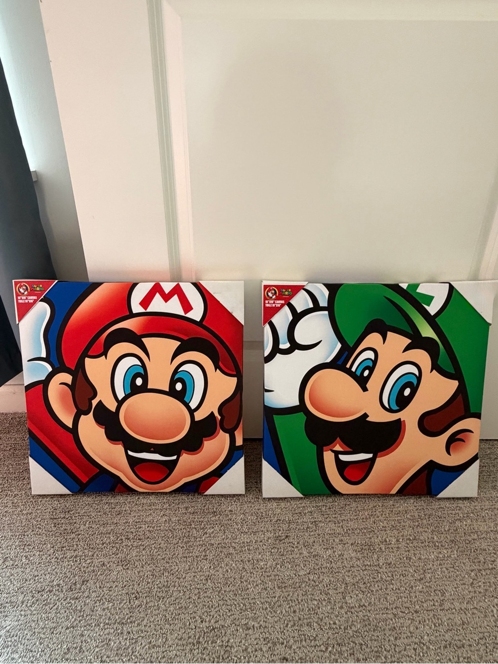 Nintendo Super Mario & Luigi Canvas Art Set
